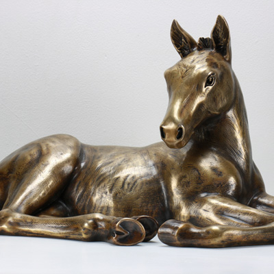 Foal
